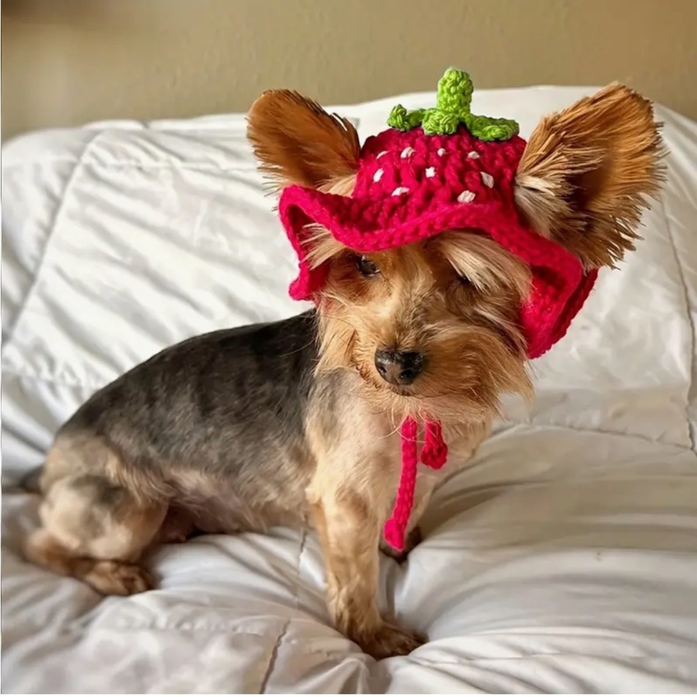 Red Strawberry Handcrafted Crochet Cat Dog or Small Pet Hat (Sm)